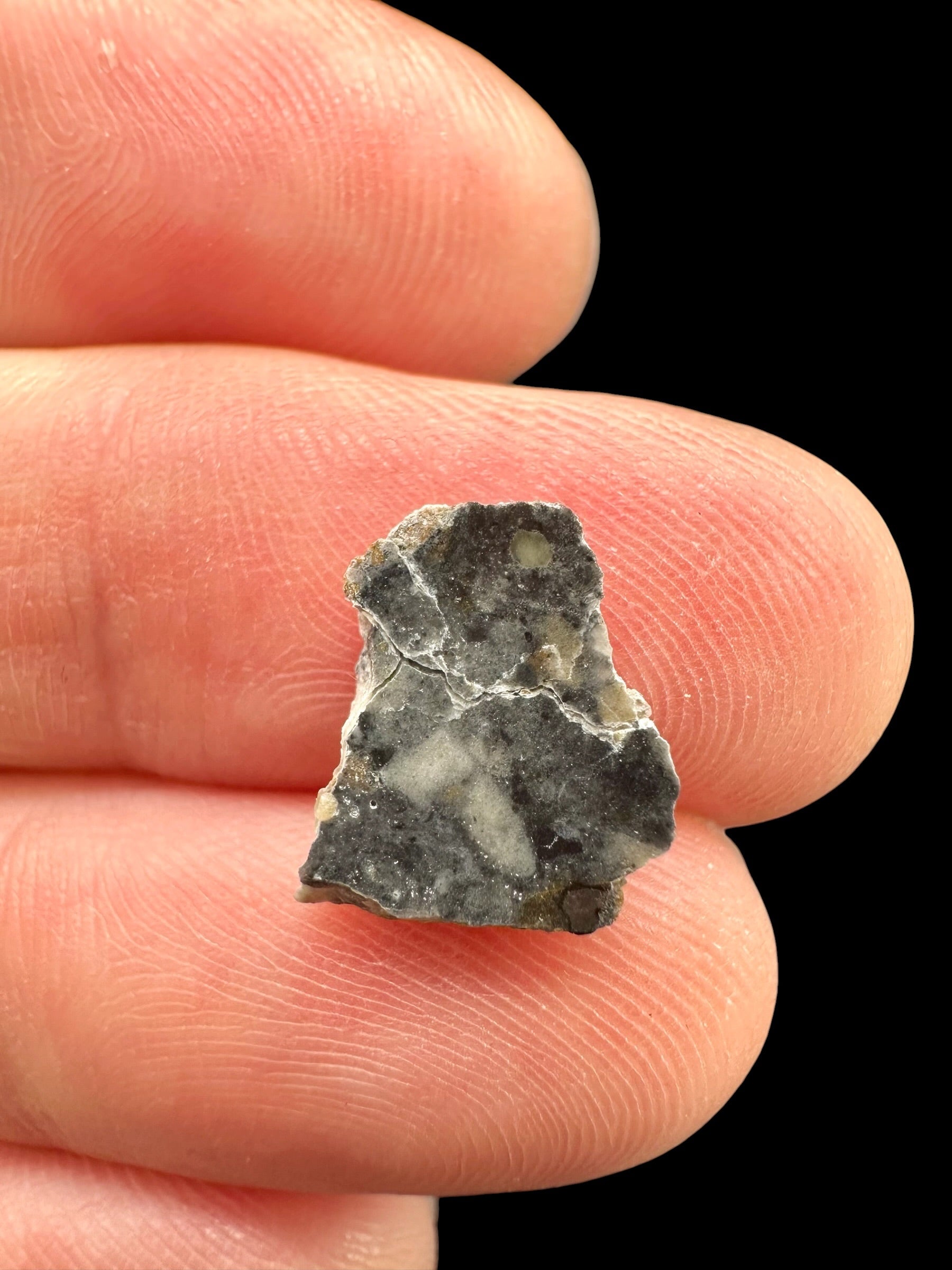 Lunar meteorite Bechar 003 – 0,2g – Algeria - MEBA201