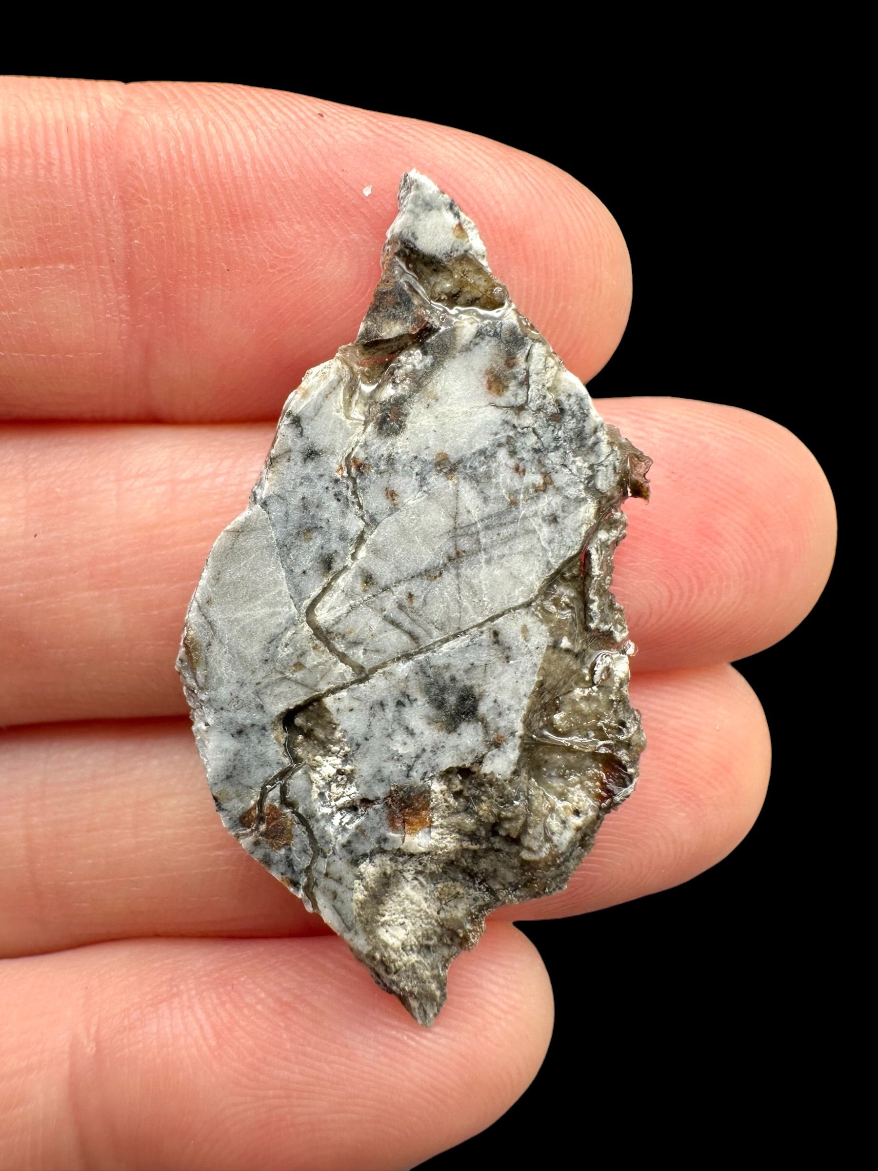 Meteorite Timimoun 003 – 2,4g – Algeria - METM39