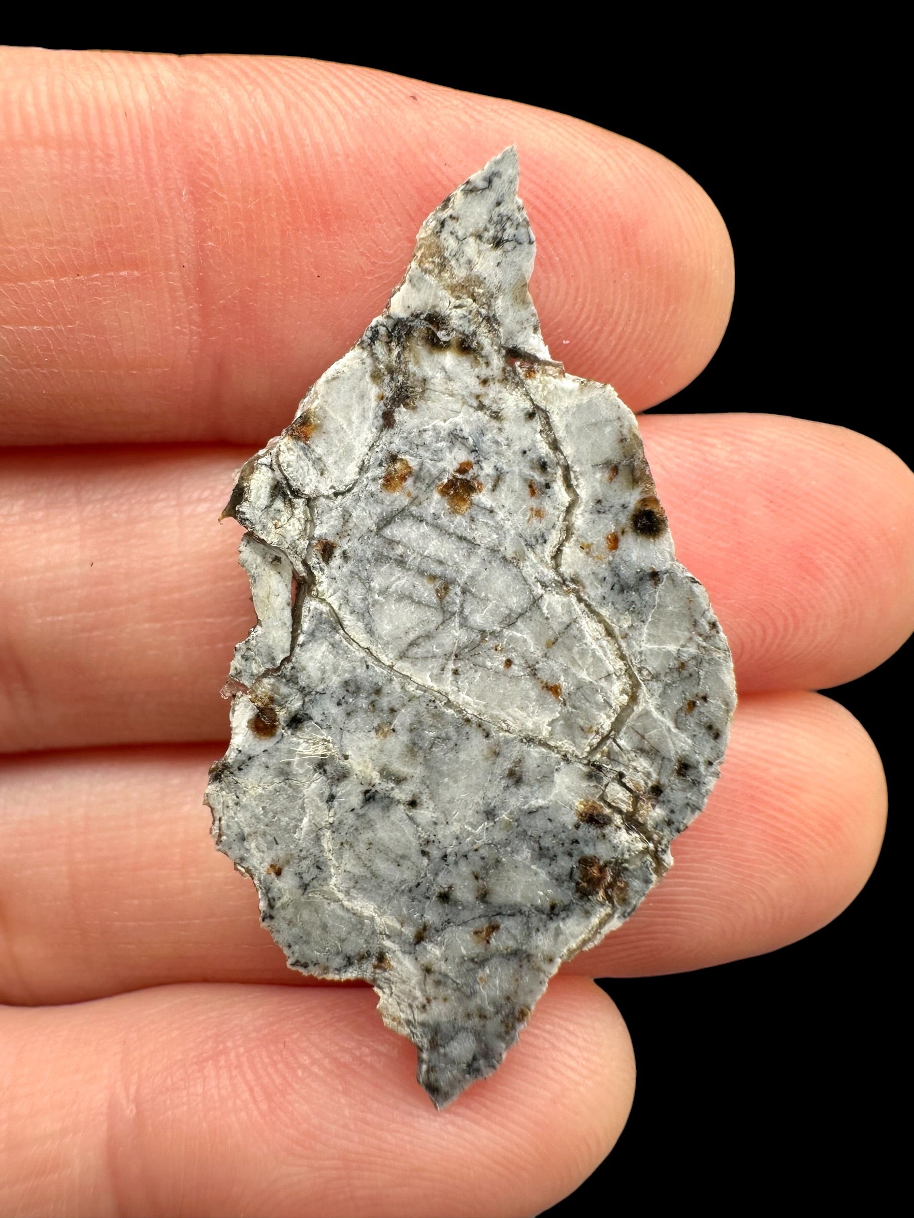 Meteorite Timimoun 003 – 2,4g – Algeria