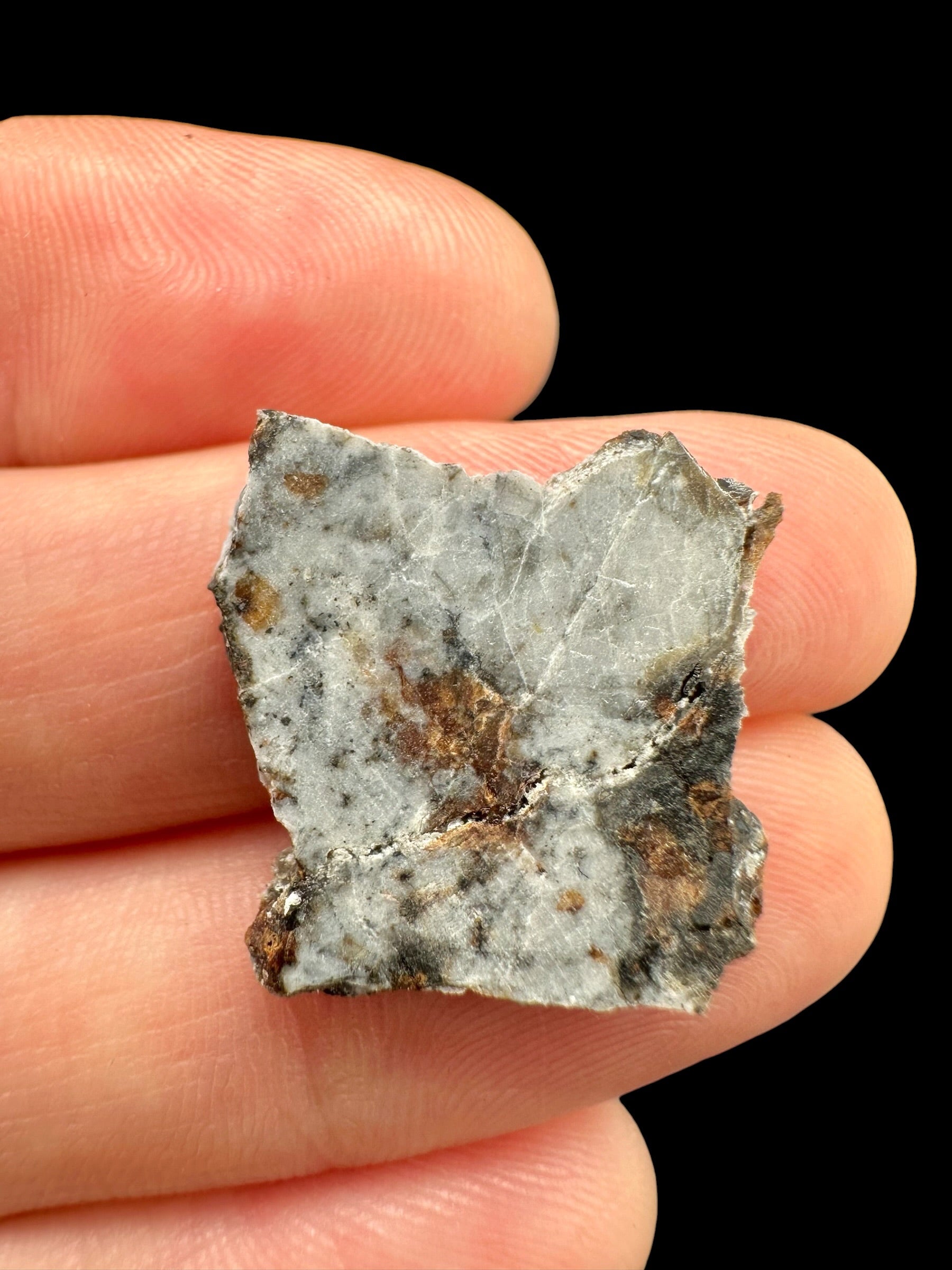 Meteorite Timimoun 003 – 1,9g – Algeria - METM40