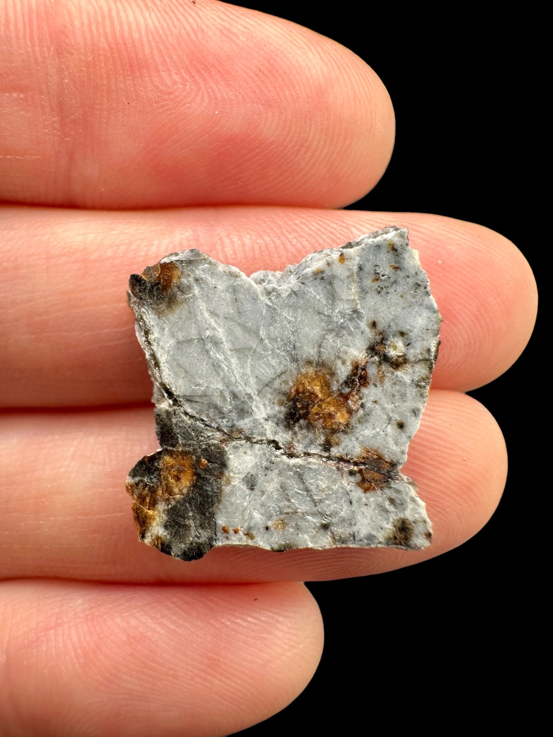 Meteorite Timimoun 003 – 1,9g – Algeria