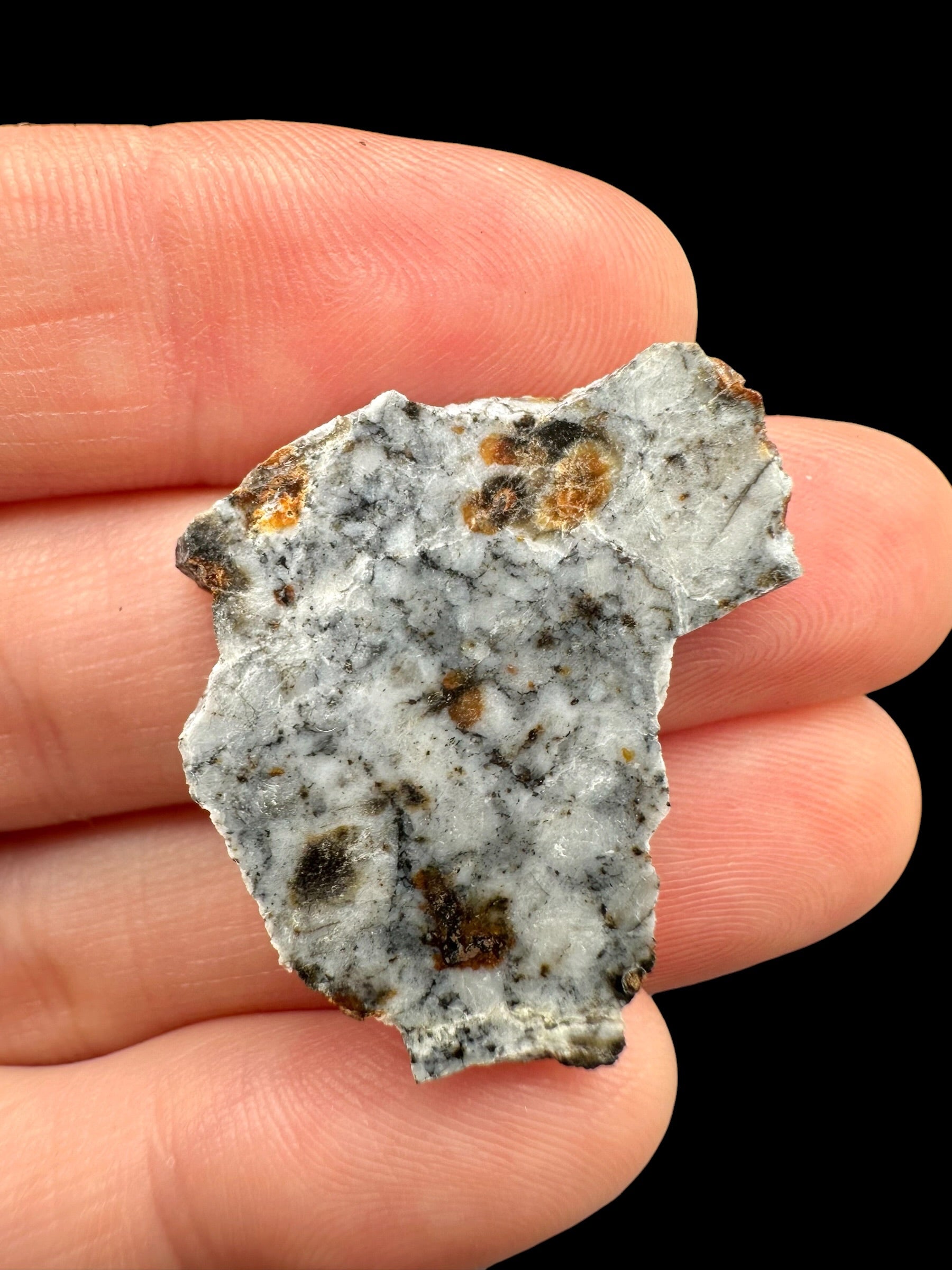 Meteorite Timimoun 003 – 3,2g – Algeria