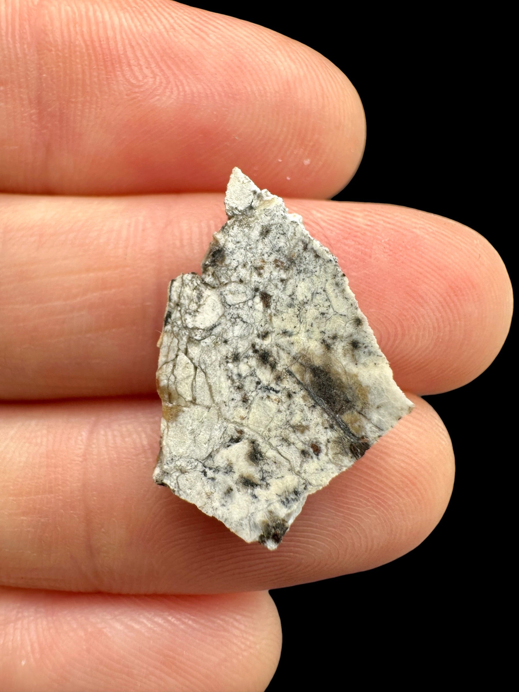Meteorite Timimoun 003 – 1g – Algeria - METM44