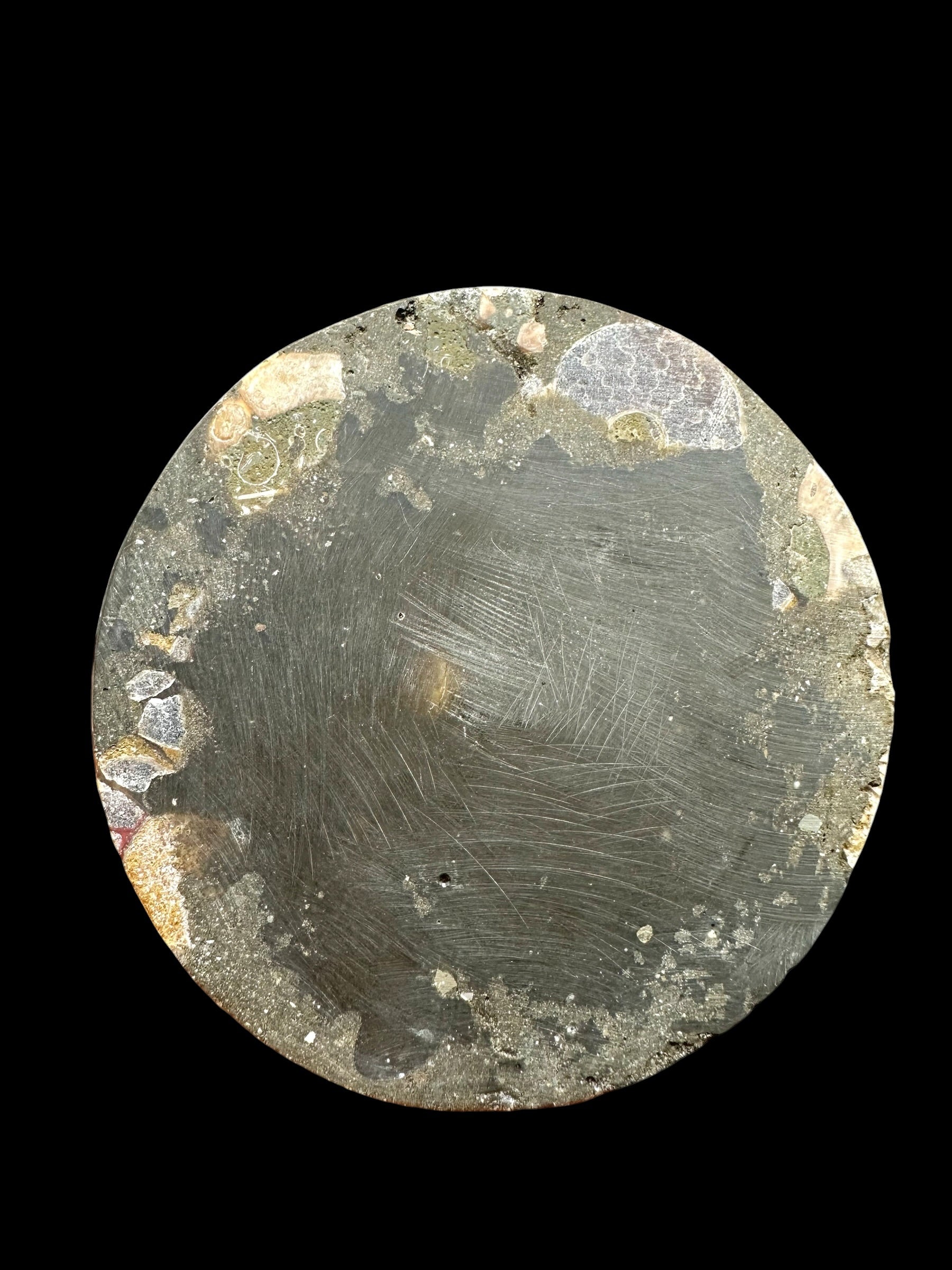 Ammonite coaster – random piece - AN330