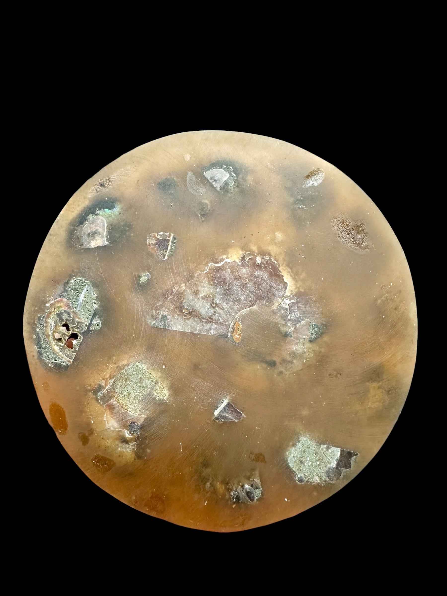 Sottobicchiere con ammonite - AN332