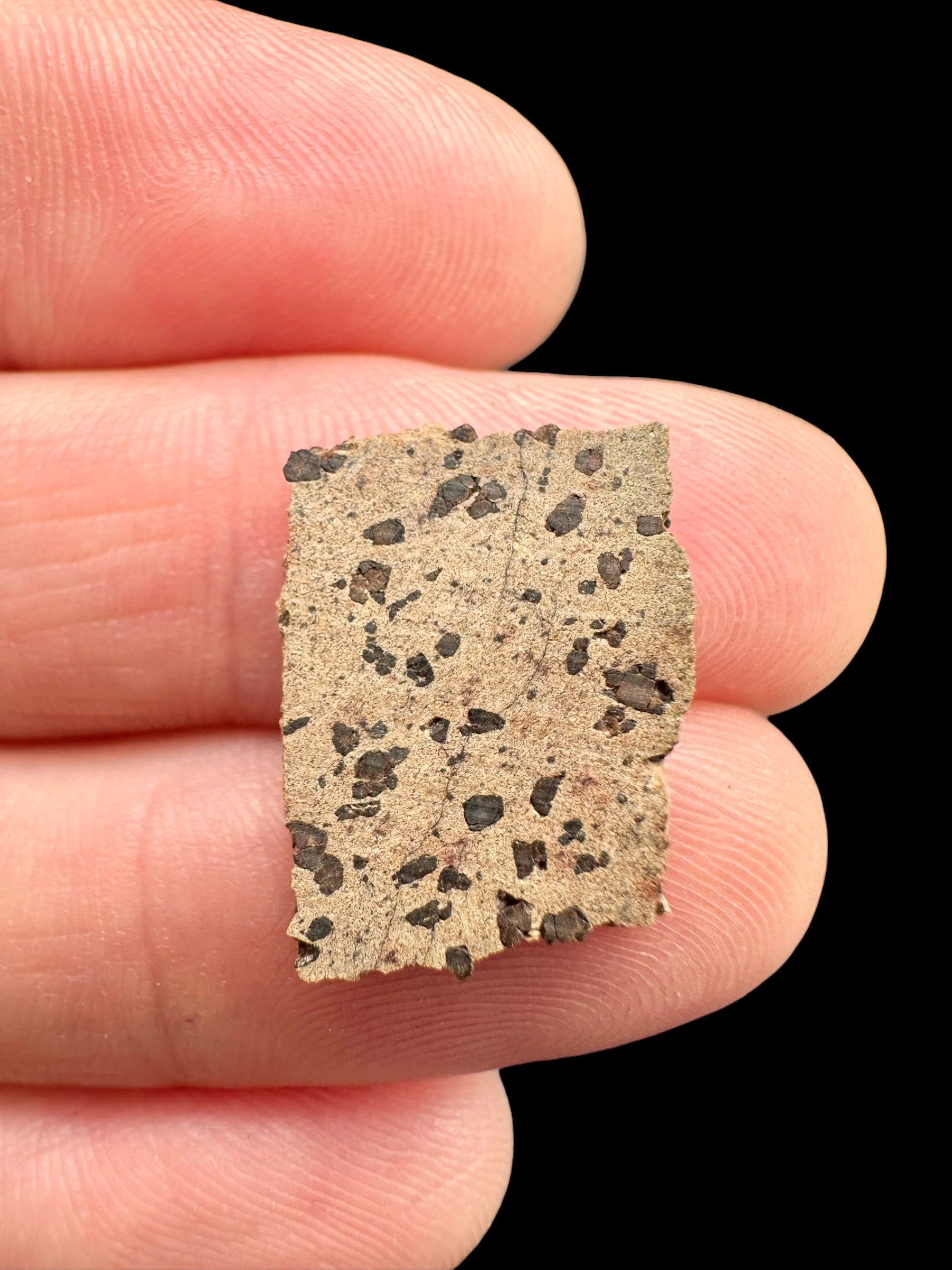 Meteorite Tarkint 001 – 1g – Mali - METR17