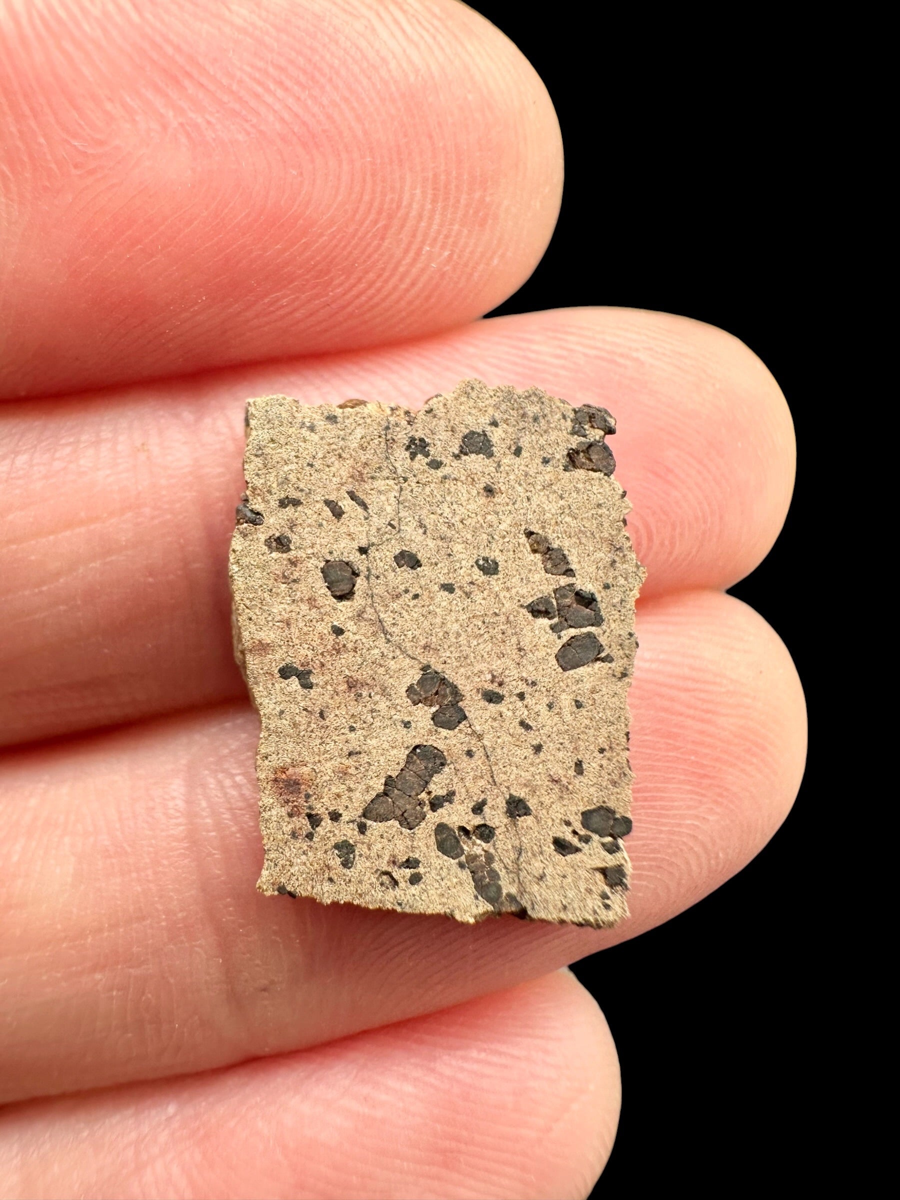Meteorite Tarkint 001 – 1g – Mali