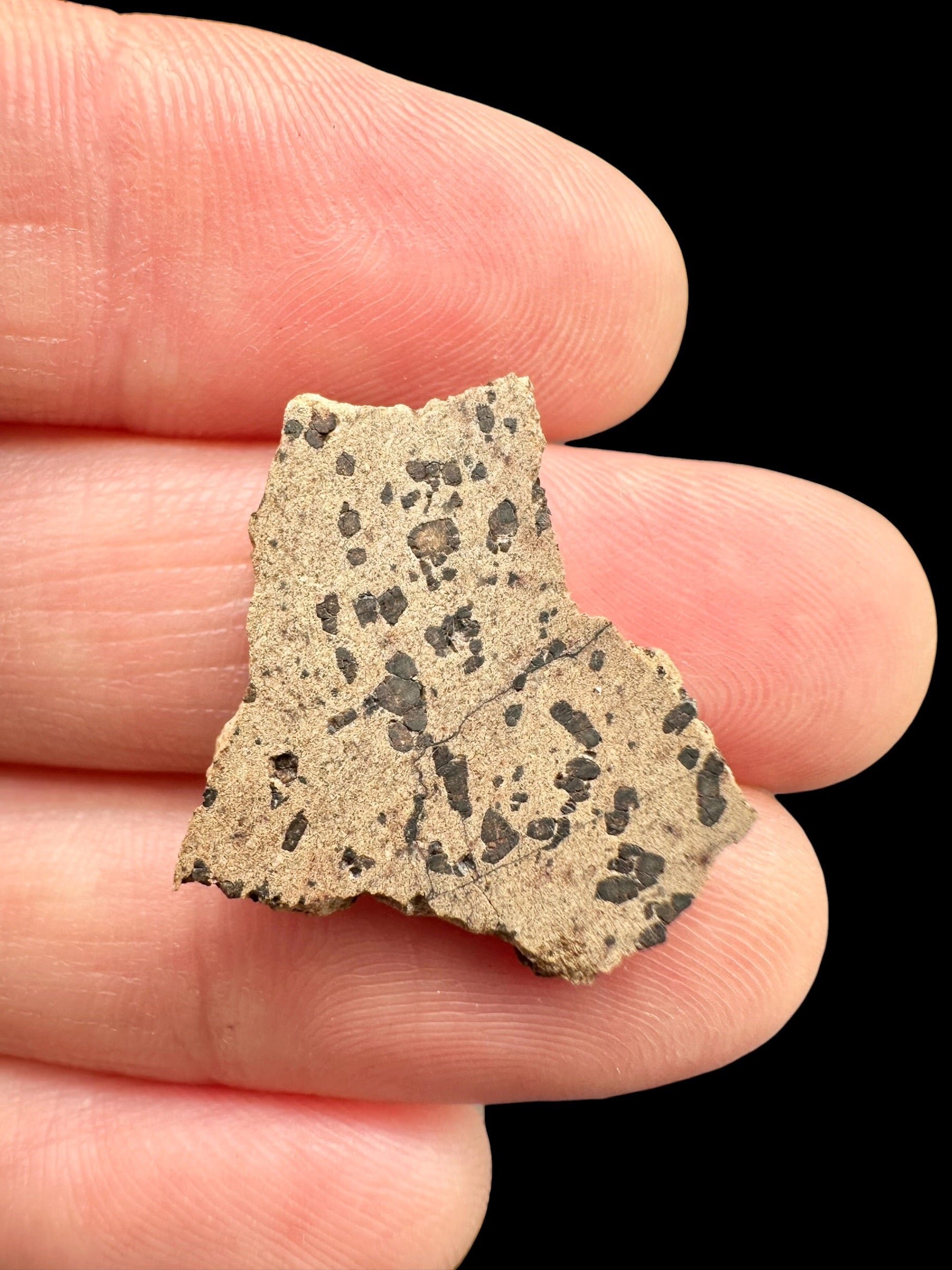 Meteorite Tarkint 001 – 1,3g – Mali - METR18