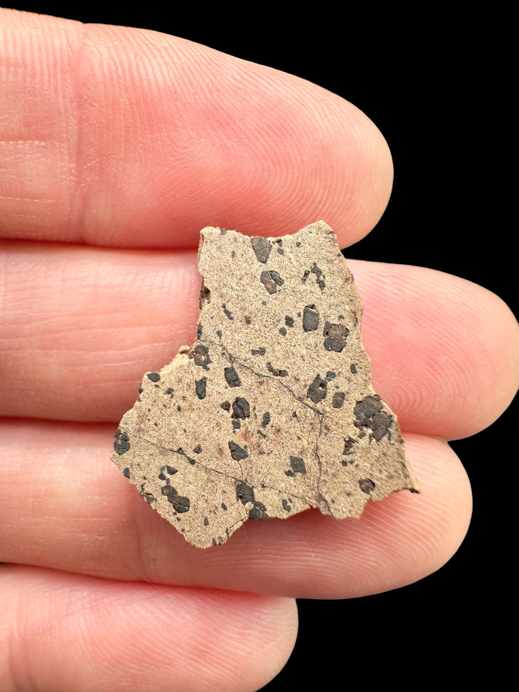 Meteorite Tarkint 001 – 1,3g – Mali