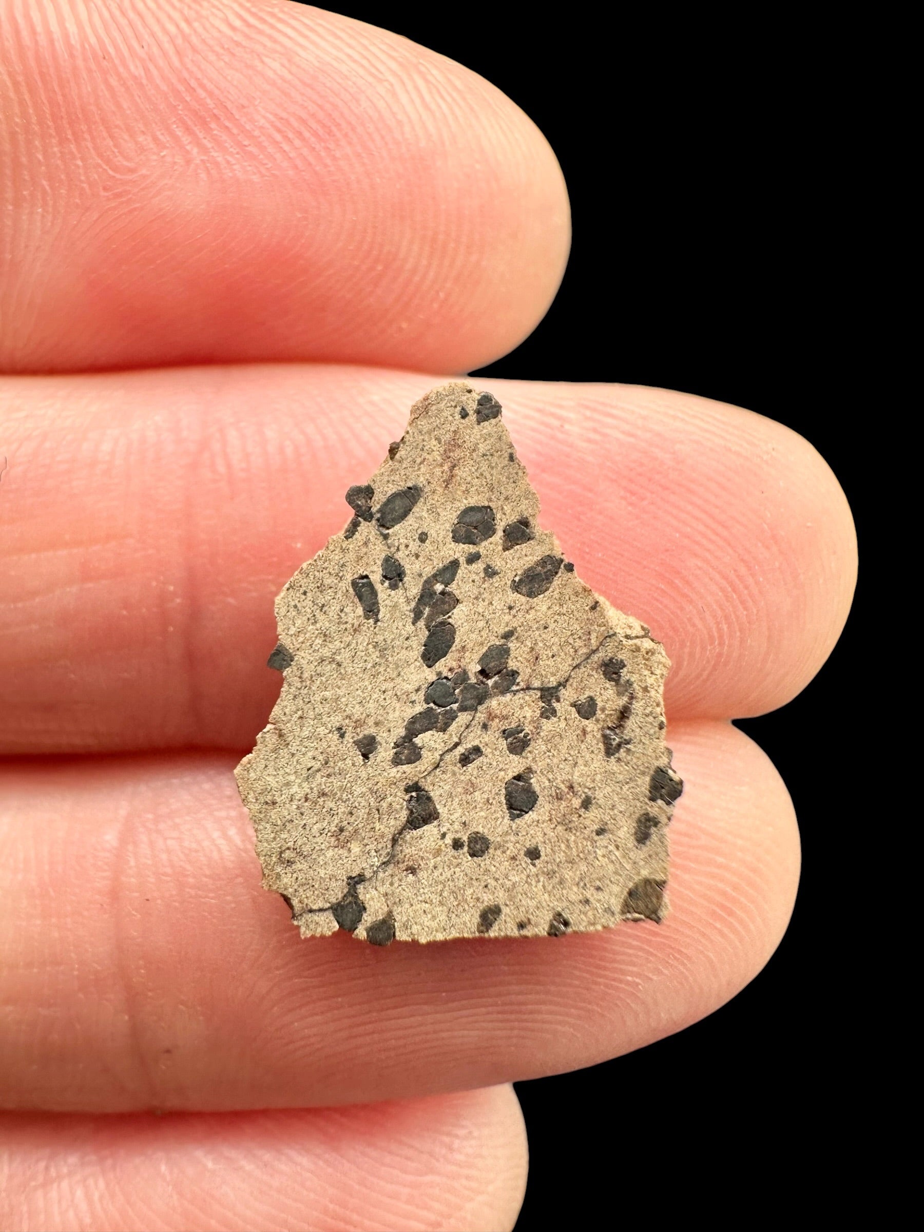 Meteorite Tarkint 001 – 0,7g – Mali - METR19