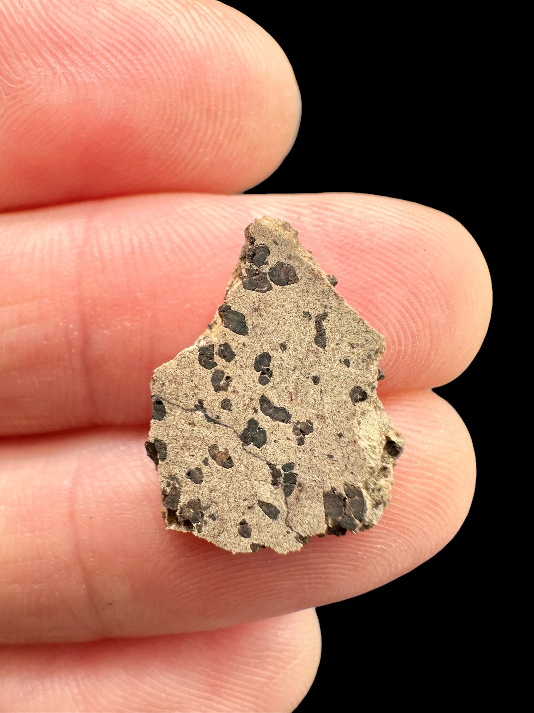 Meteorite Tarkint 001 – 0,7g – Mali