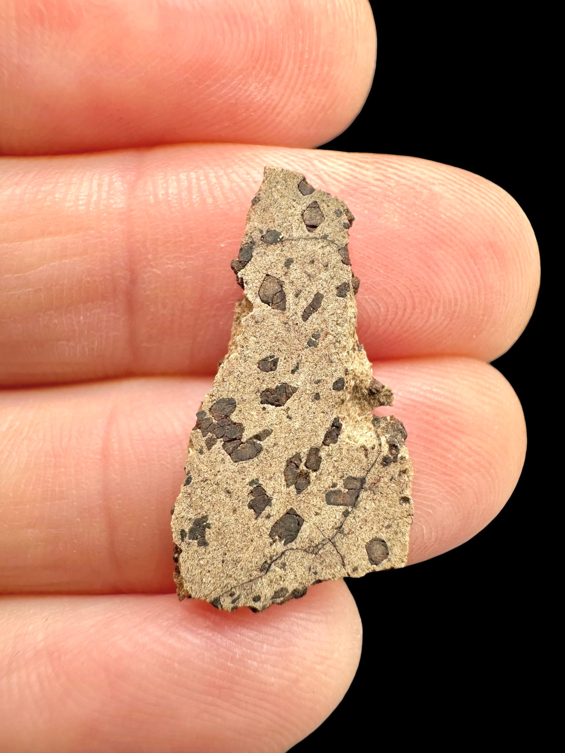Meteorite Tarkint 001 – 0,8g – Mali