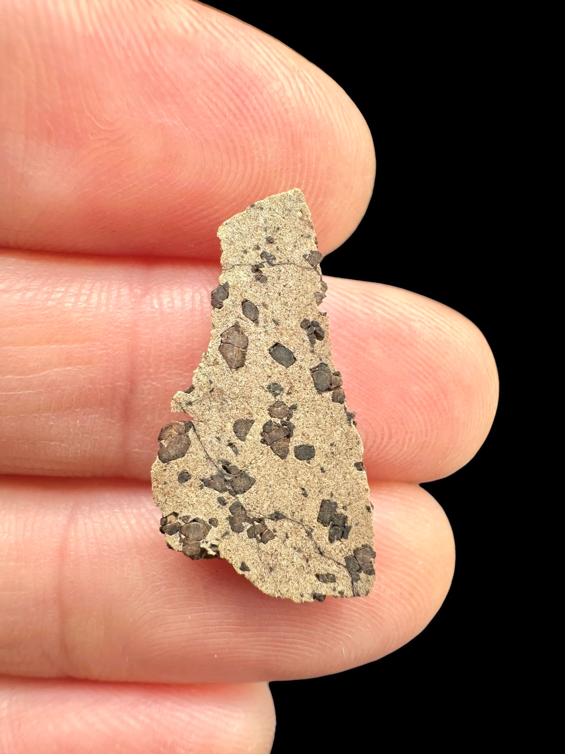 Meteorite Tarkint 001 – 0,8g – Mali - METR20