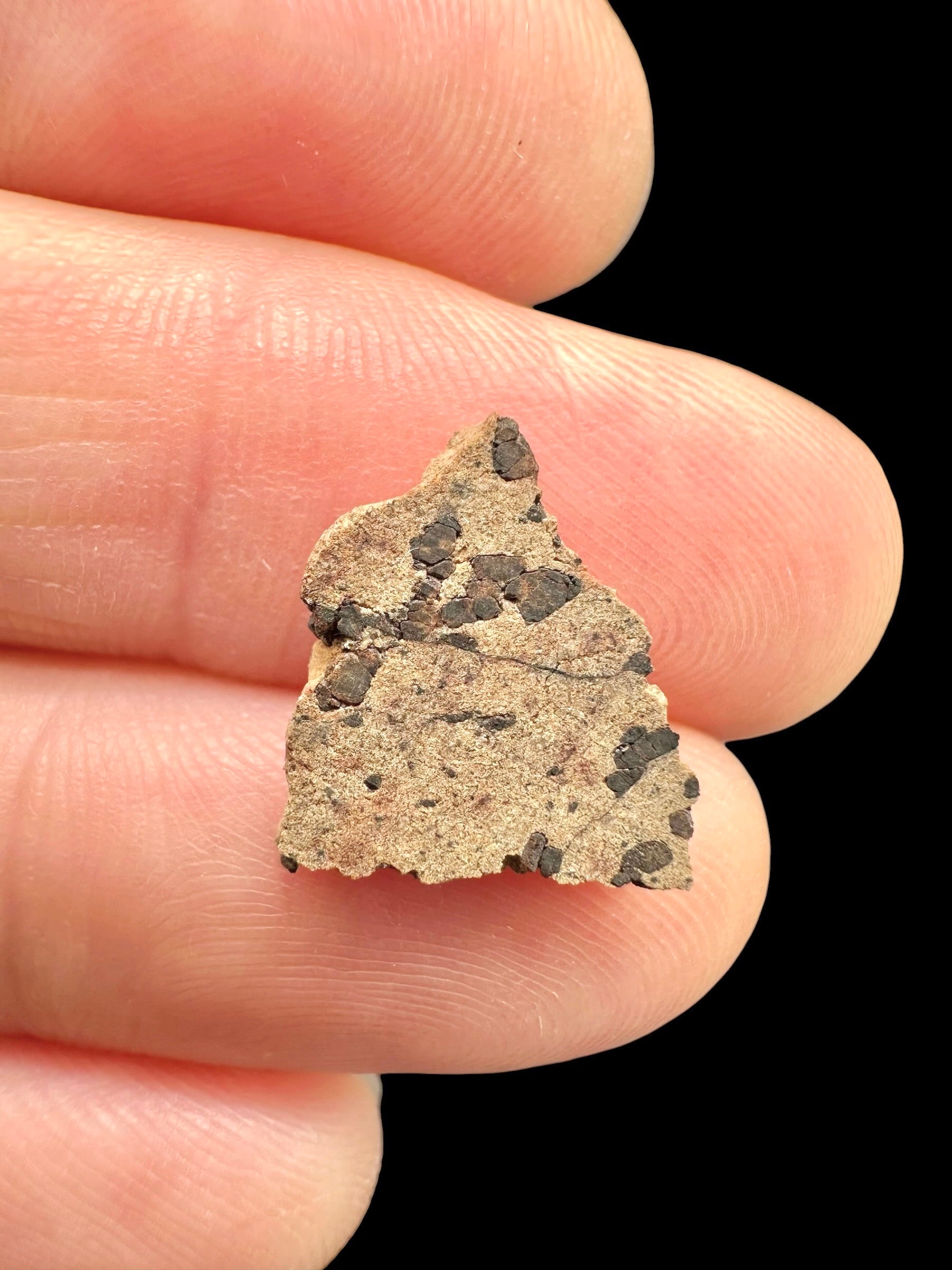 Meteorite Tarkint 001 – 0,5g – Mali