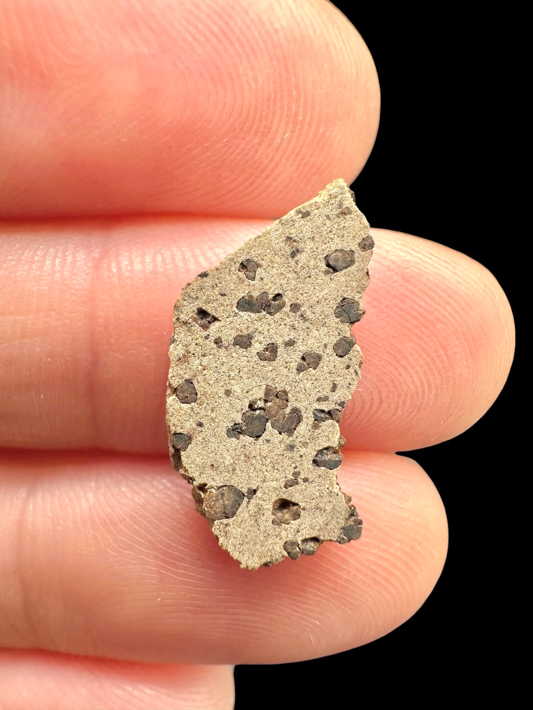 Meteorite Tarkint 001 – 0,6g – Mali