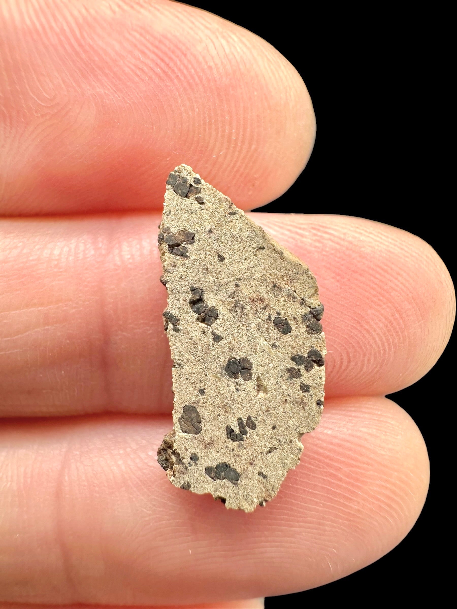 Meteorite Tarkint 001 – 0,6g – Mali - METR22