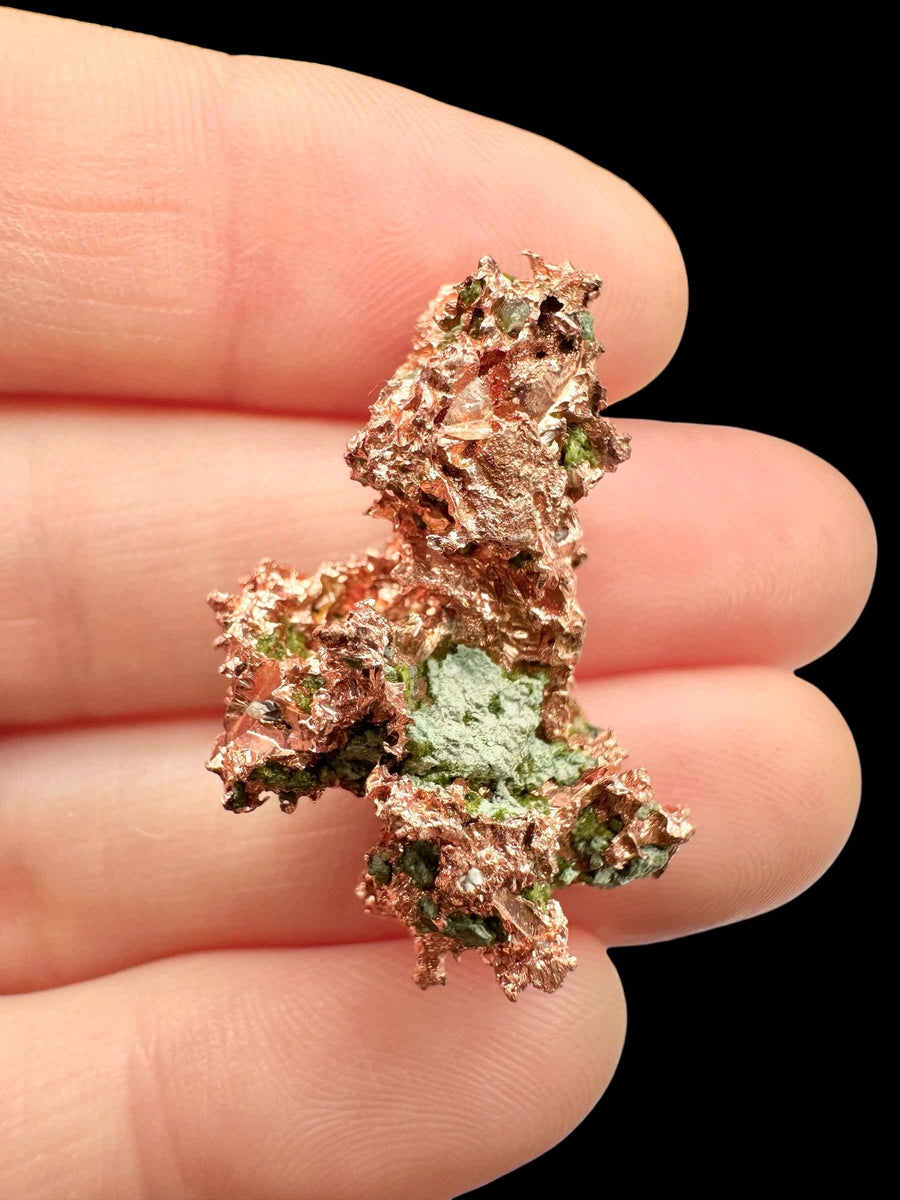 Campione di rame nativo ramificato del Michigan con incrostazioni di malachite verde