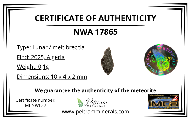 Lunar meteorite NWA 17865 – 0,1g – Algeria - MENWL37