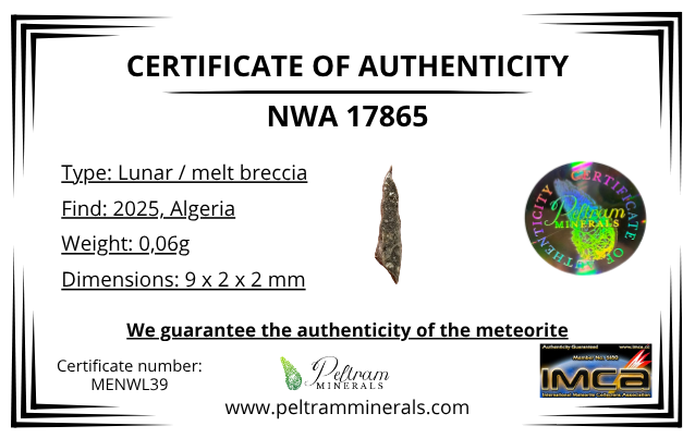 Lunar meteorite NWA 17865 – 0,06g – Algeria - MENWL39