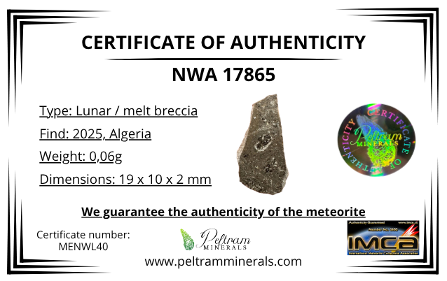 Lunar meteorite NWA 17865 – 0,7g – Algeria - MENWL40