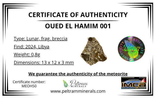 Lunar meteorite Oued el Hamim 001 – 0,8g – Libya - MEOH50