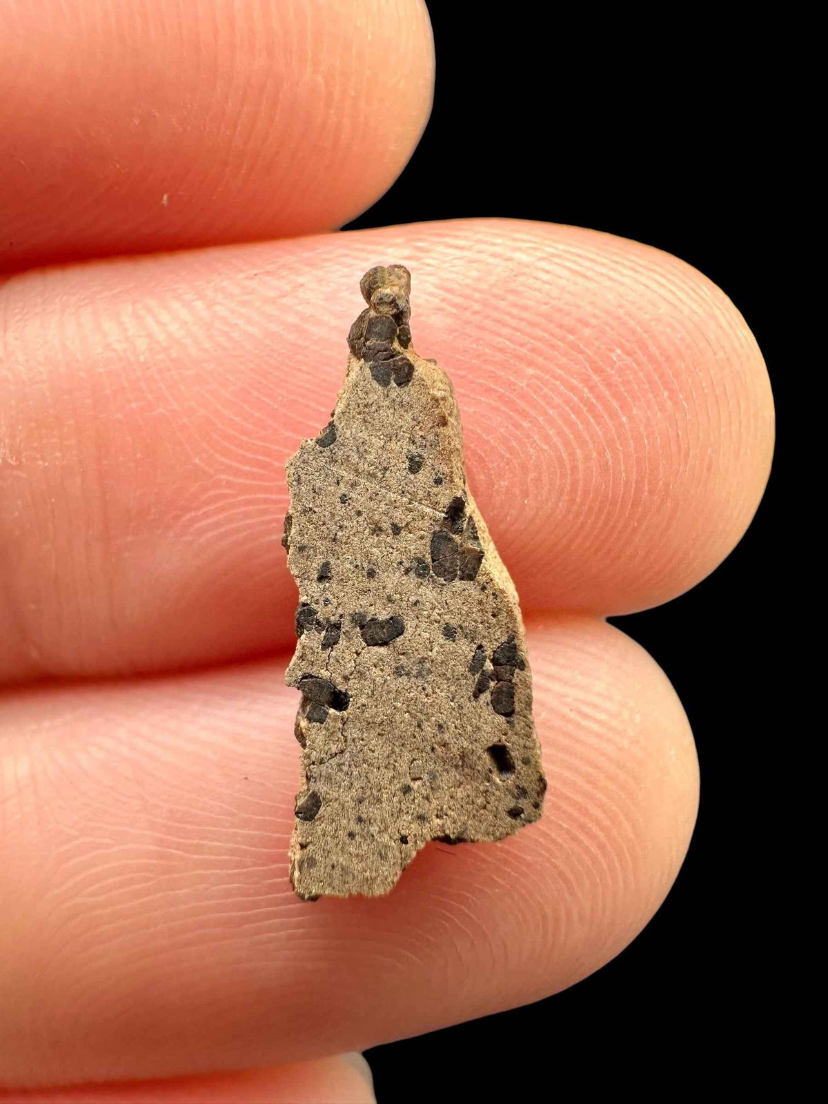 Meteorite Tarkint 001 – 0,3g – Mali - METR40