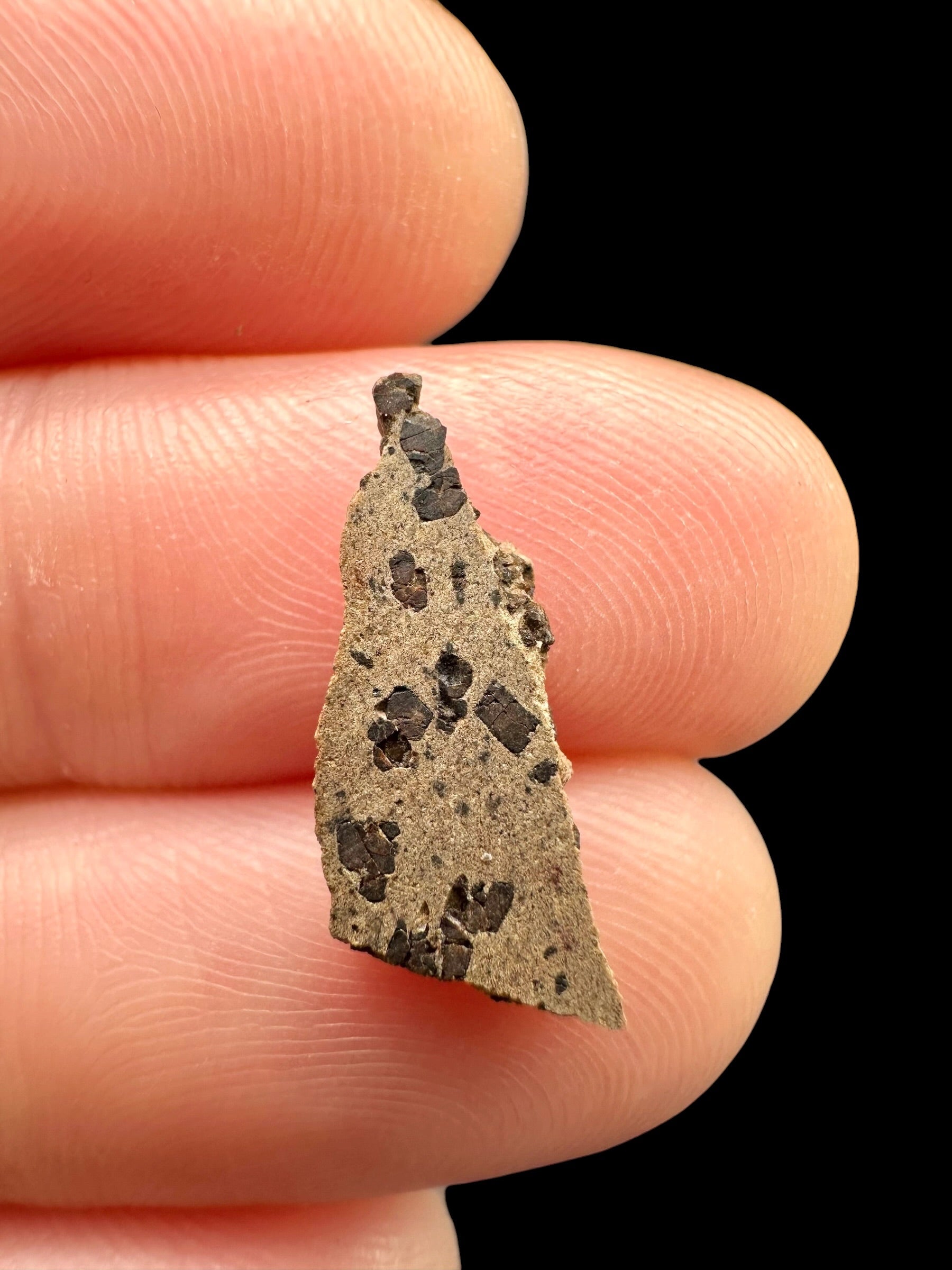 Meteorite Tarkint 001 – 0,3g – Mali