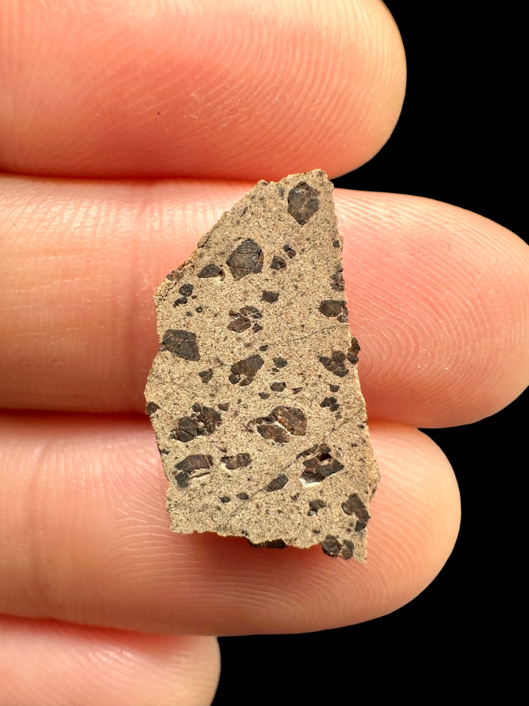 Meteorite Tarkint 001 – 0,8g – Mali
