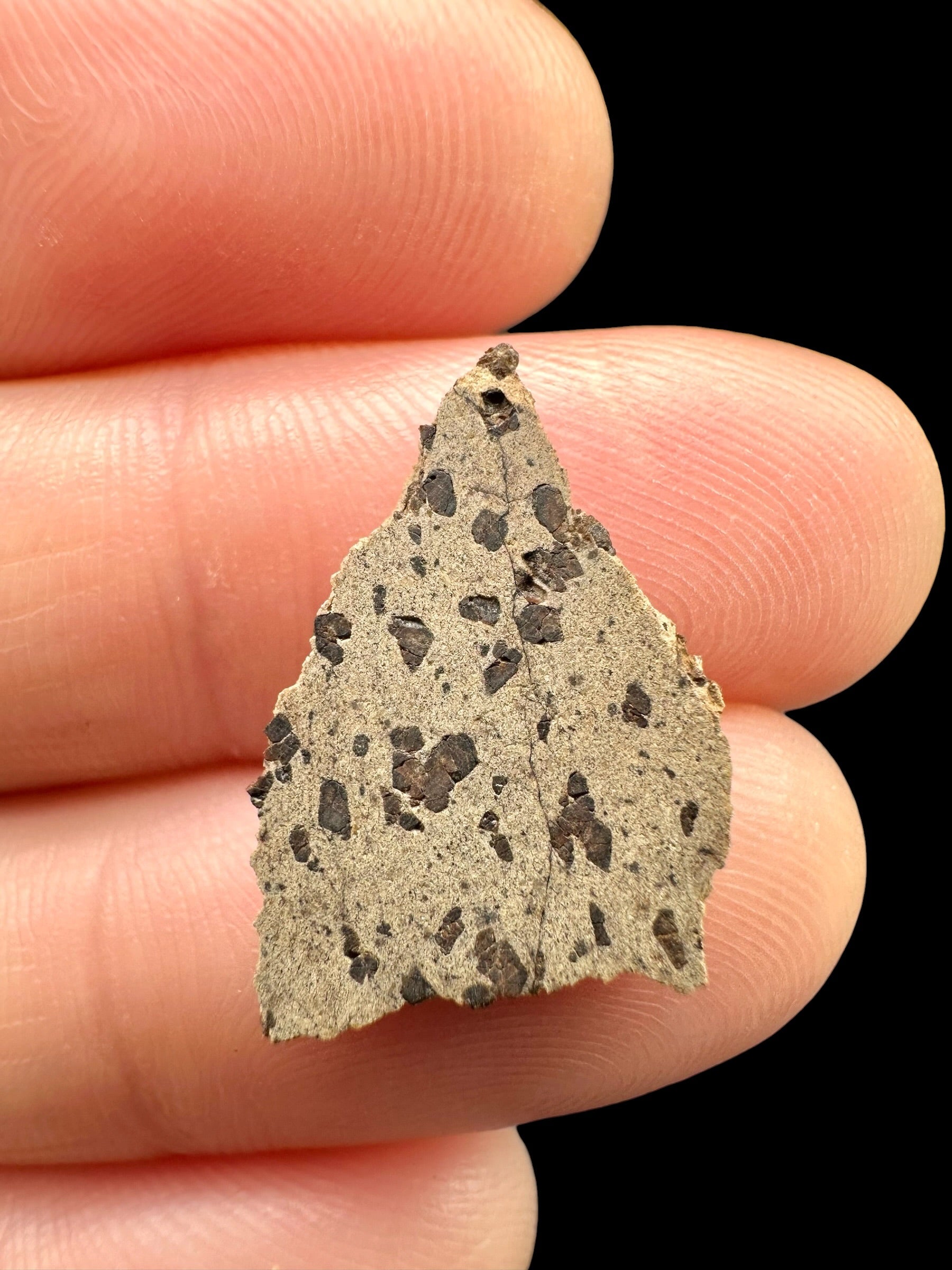 Meteorite Tarkint 001 – 0,7g – Mali - METR42