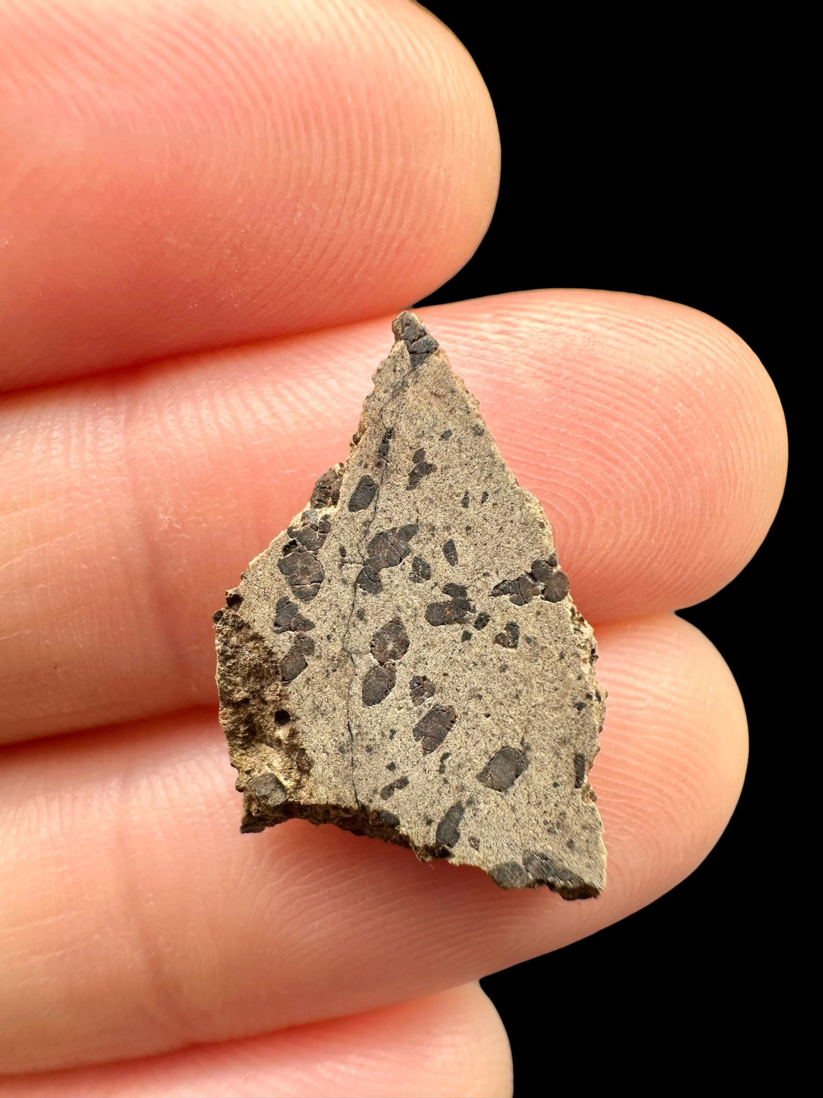 Meteorite Tarkint 001 – 0,7g – Mali