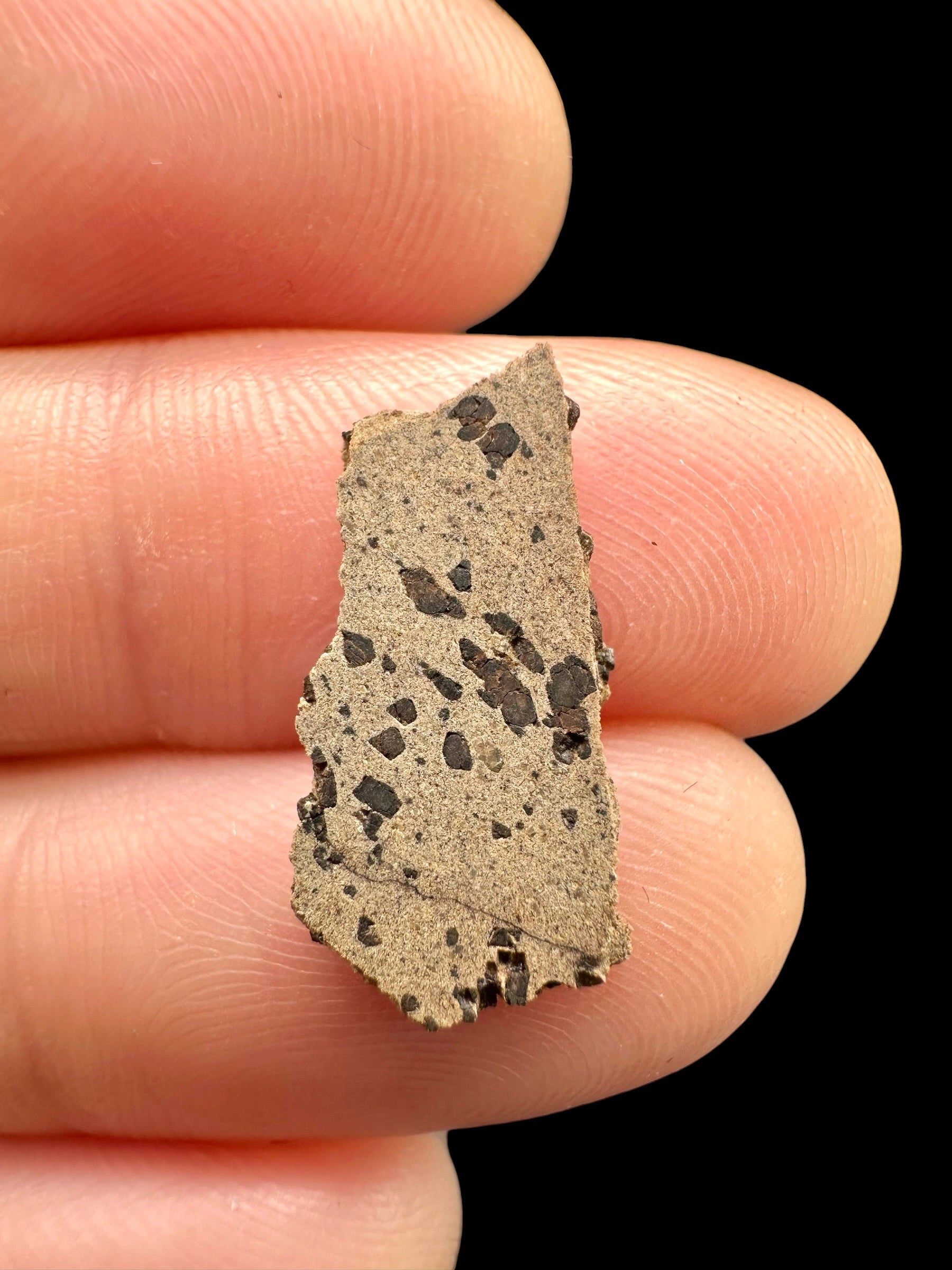 Meteorite Tarkint 001 – 0,6g – Mali - METR43