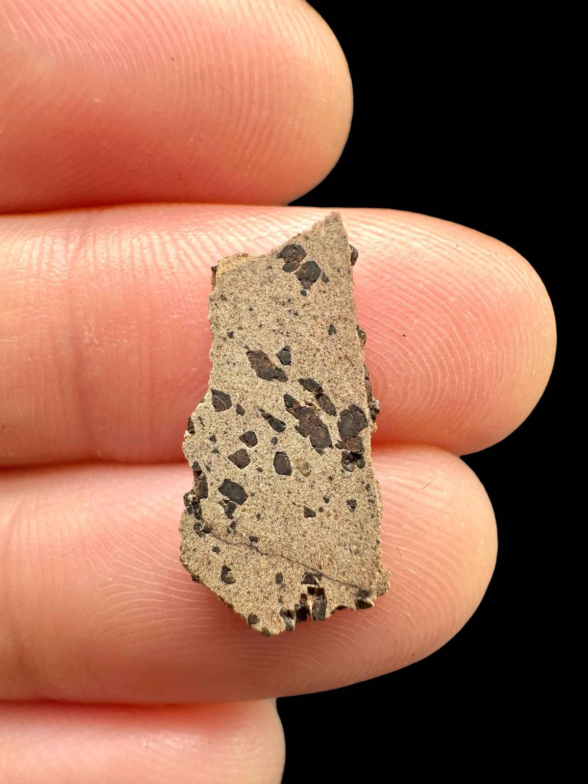 Meteorite Tarkint 001 – 0,6g – Mali - METR43