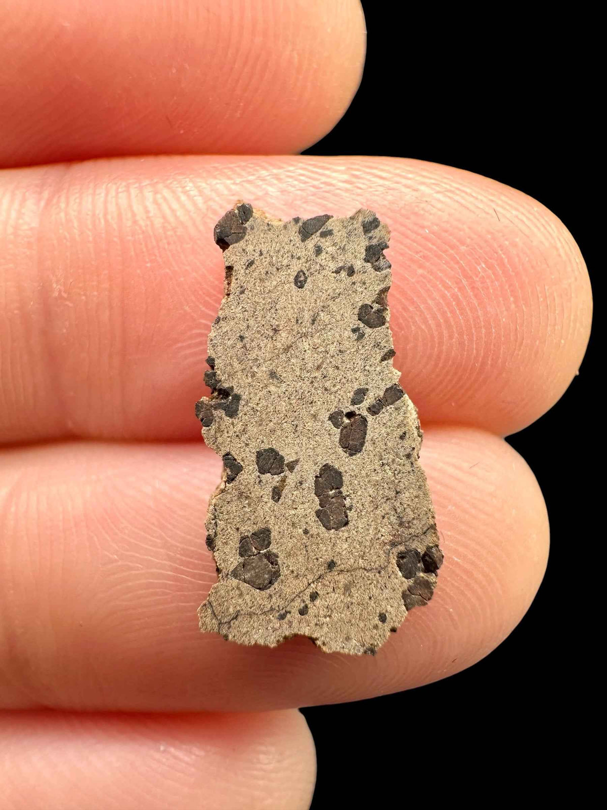 Meteorite Tarkint 001 – 0,6g – Mali - METR43