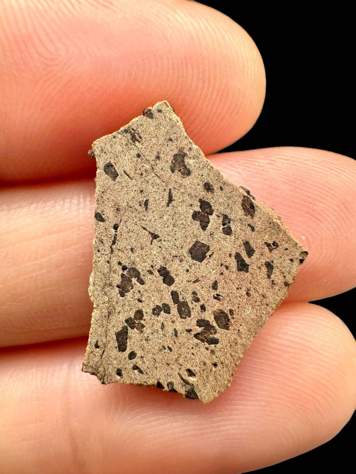 Meteorite Tarkint 001 – 1,2g – Mali - METR44
