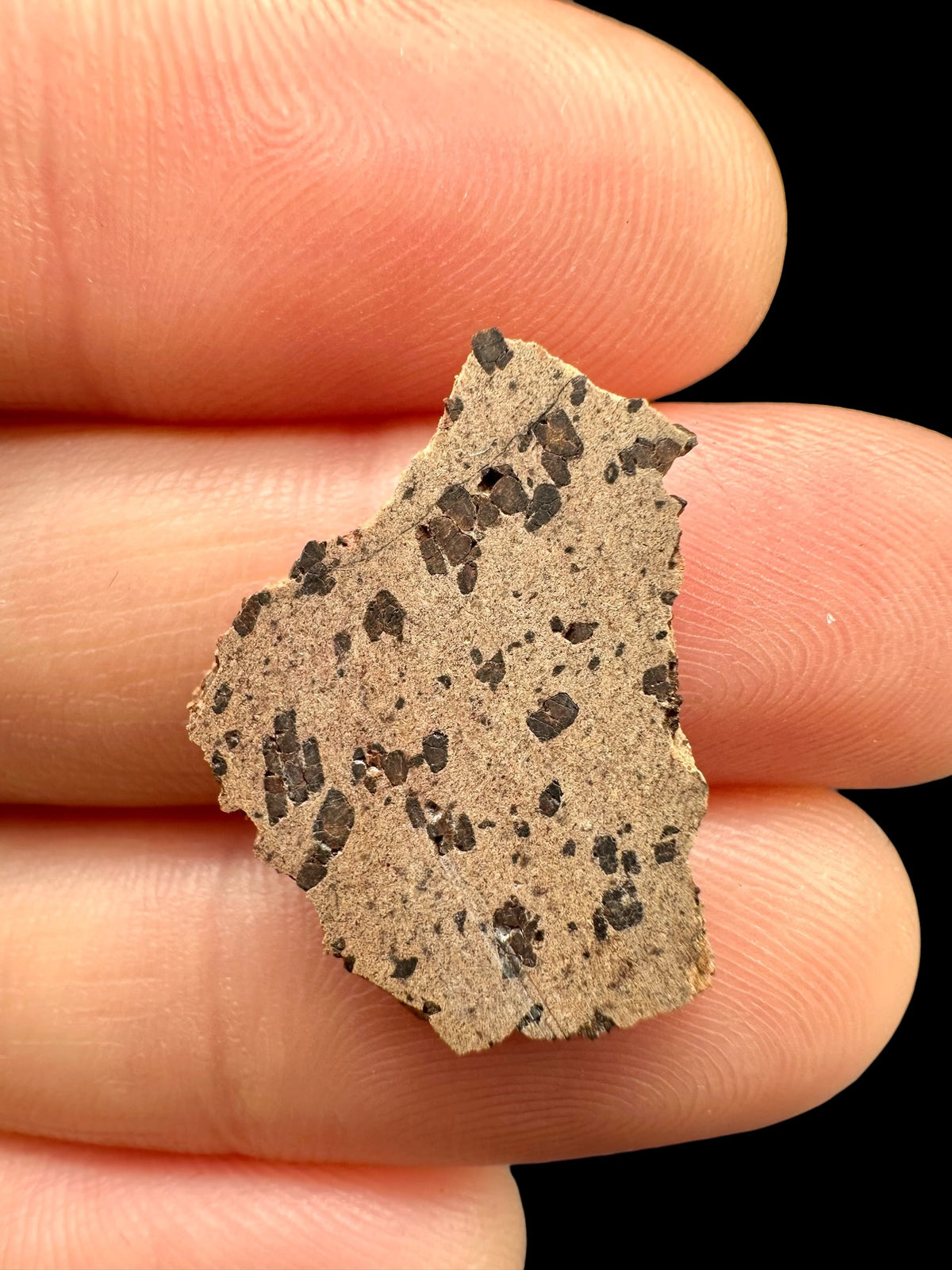Meteorite Tarkint 001 – 1,2g – Mali - METR44