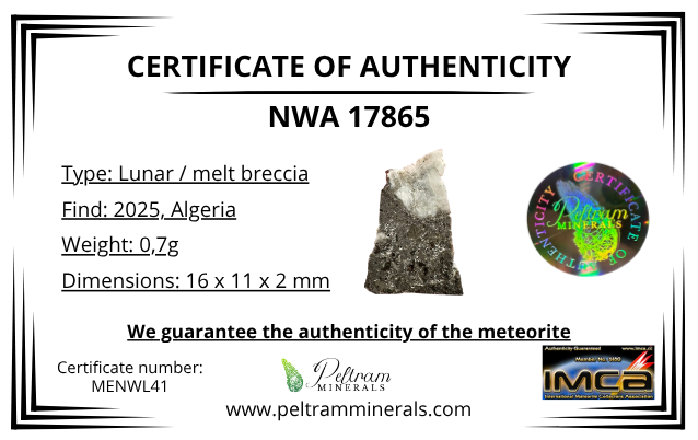 Lunar meteorite NWA 17865 – 0,7g – Algeria - MENWL41