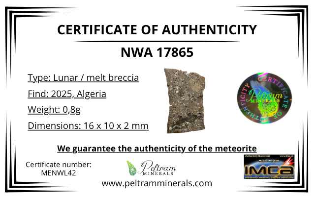 Lunar meteorite NWA 17865 – 0,8g – Algeria - MENWL42