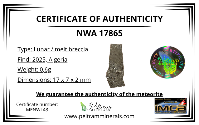 Lunar meteorite NWA 17865 – 0,6g – Algeria - MENWL43