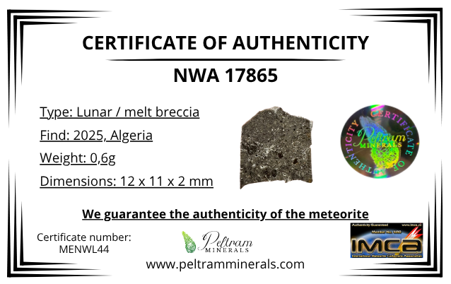 Lunar meteorite NWA 17865 – 0,6g – Algeria - MENWL44