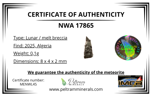 Lunar meteorite NWA 17865 – 0,1g – Algeria - MENWL45