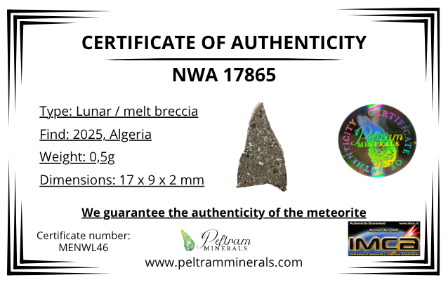 Lunar meteorite NWA 17865 – 0,5g – Algeria - MENWL46