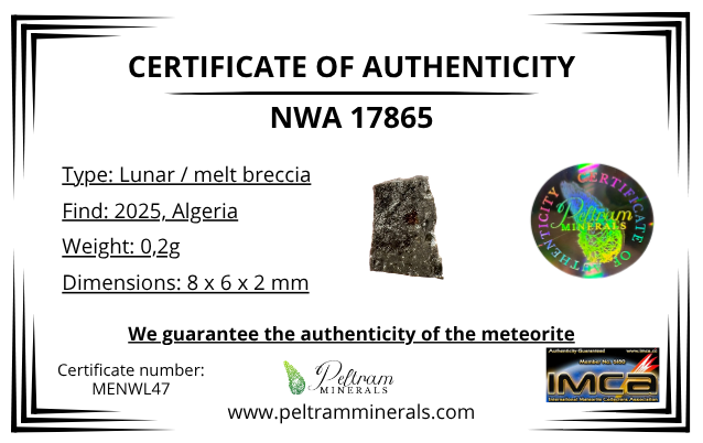 Lunar meteorite NWA 17865 – 0,2g – Algeria - MENWL47