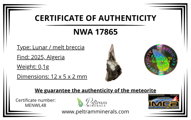 Lunar meteorite NWA 17865 – 0,1g – Algeria - MENWL48