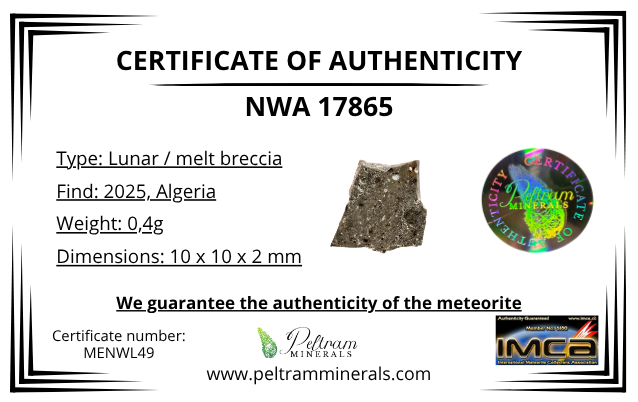 Lunar meteorite NWA 17865 – 0,4g – Algeria - MENWL49