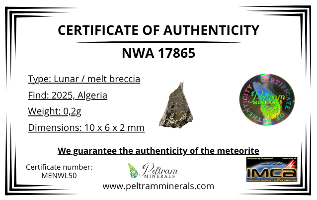 Lunar meteorite NWA 17865 – 0,2g – Algeria - MENWL50
