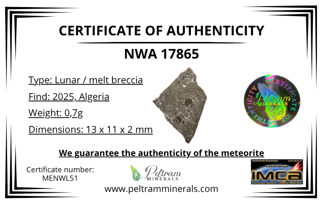 Lunar meteorite NWA 17865 – 0,7g – Algeria - MENWL51