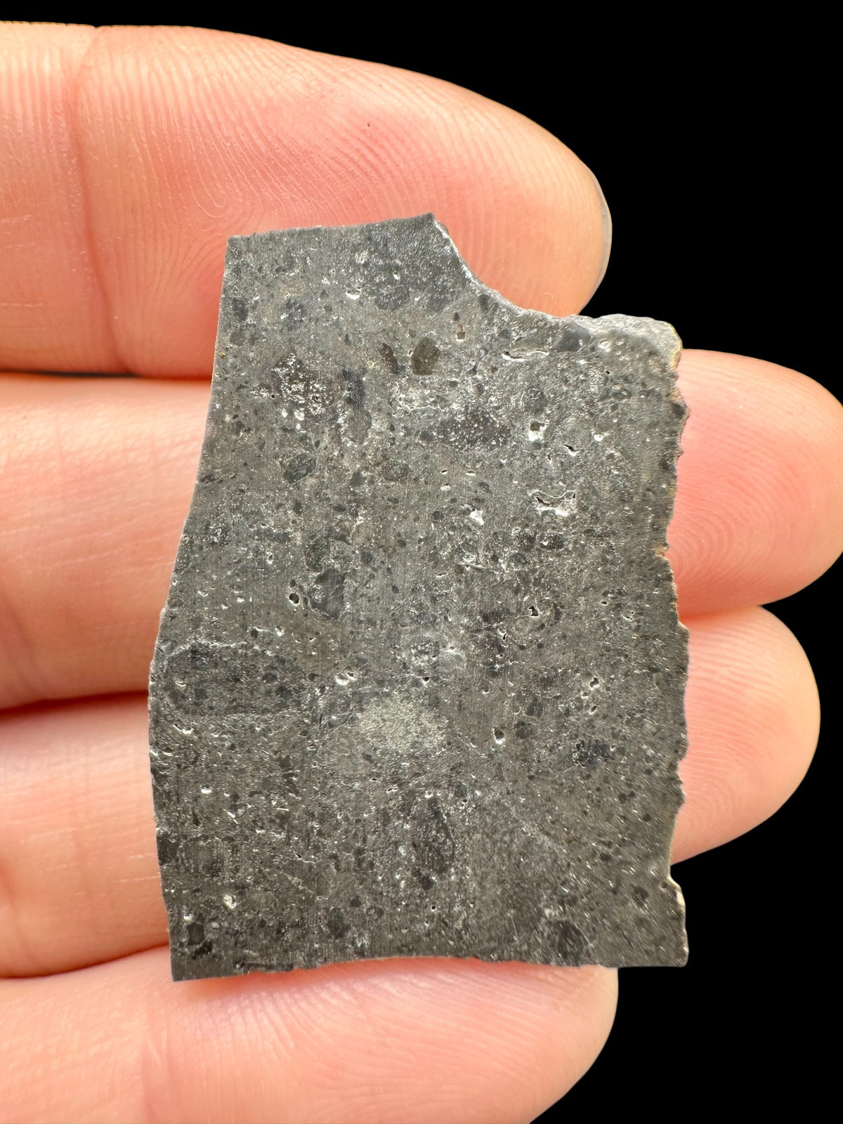 Lunar meteorite NWA 17865 – 3,9g – Algeria - MENWL58