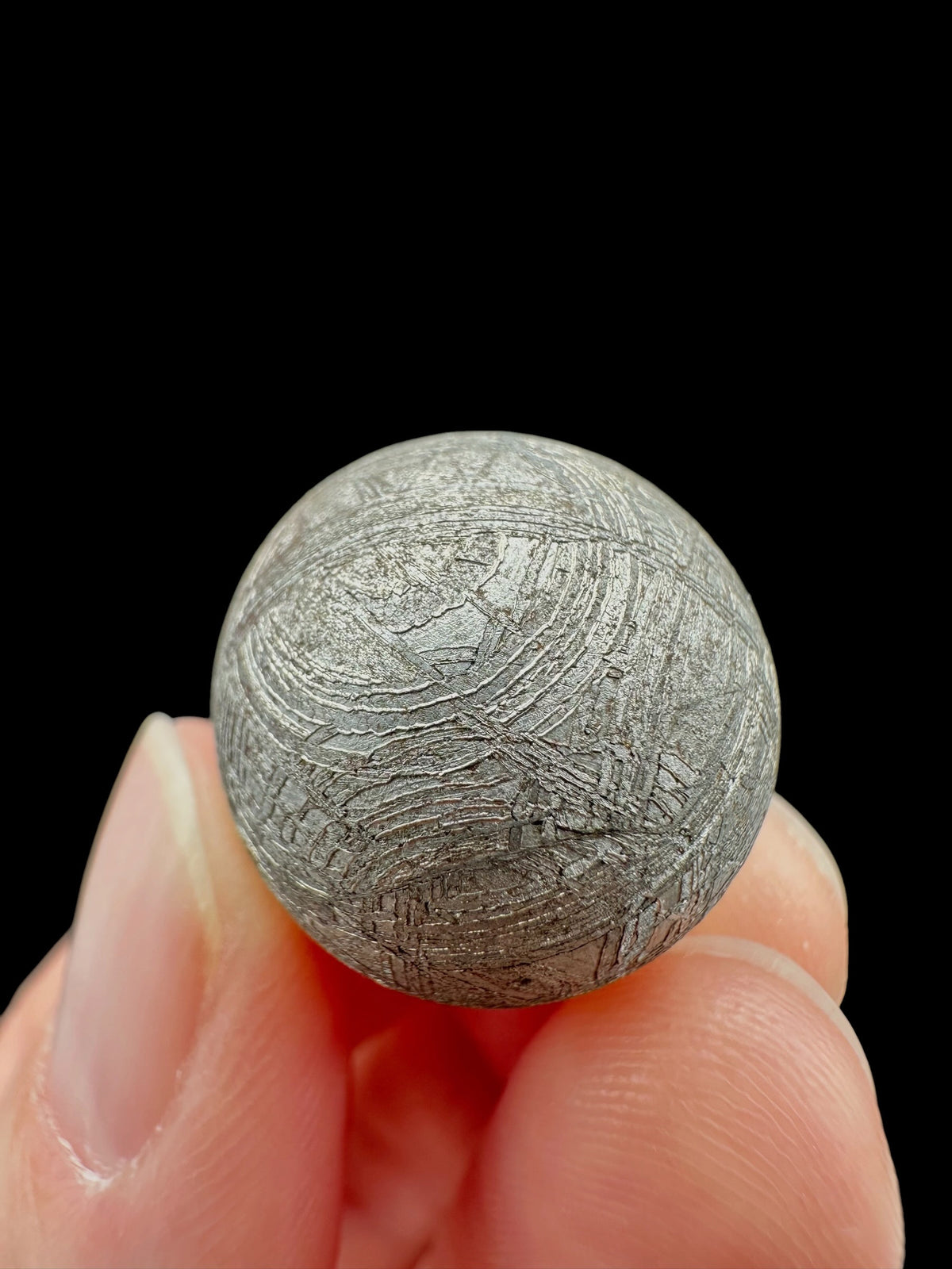 Meteorite Muonionalusta sphere 1,9cm – Norrbotten, Sweden