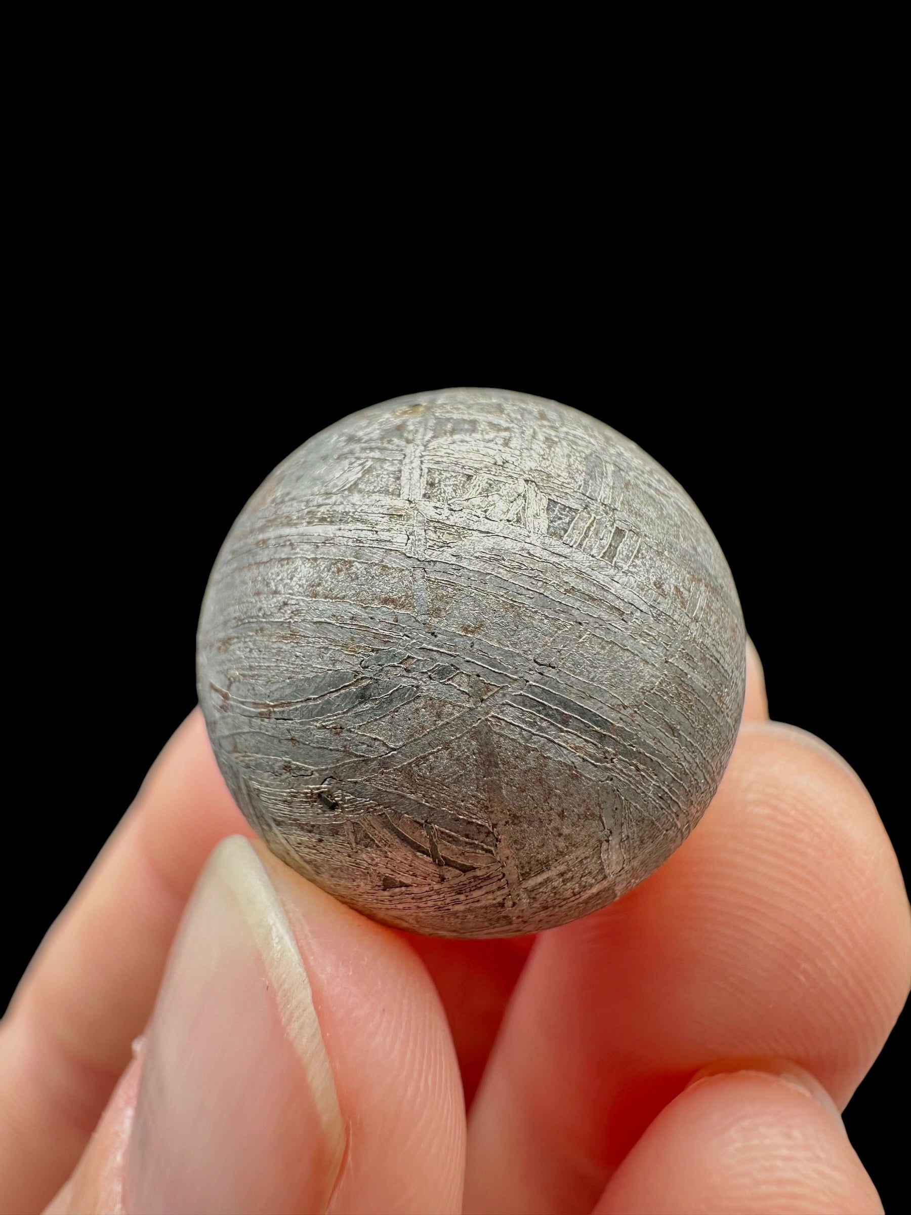 Meteorite Muonionalusta sphere 2cm – Norrbotten, Sweden - MEMO162