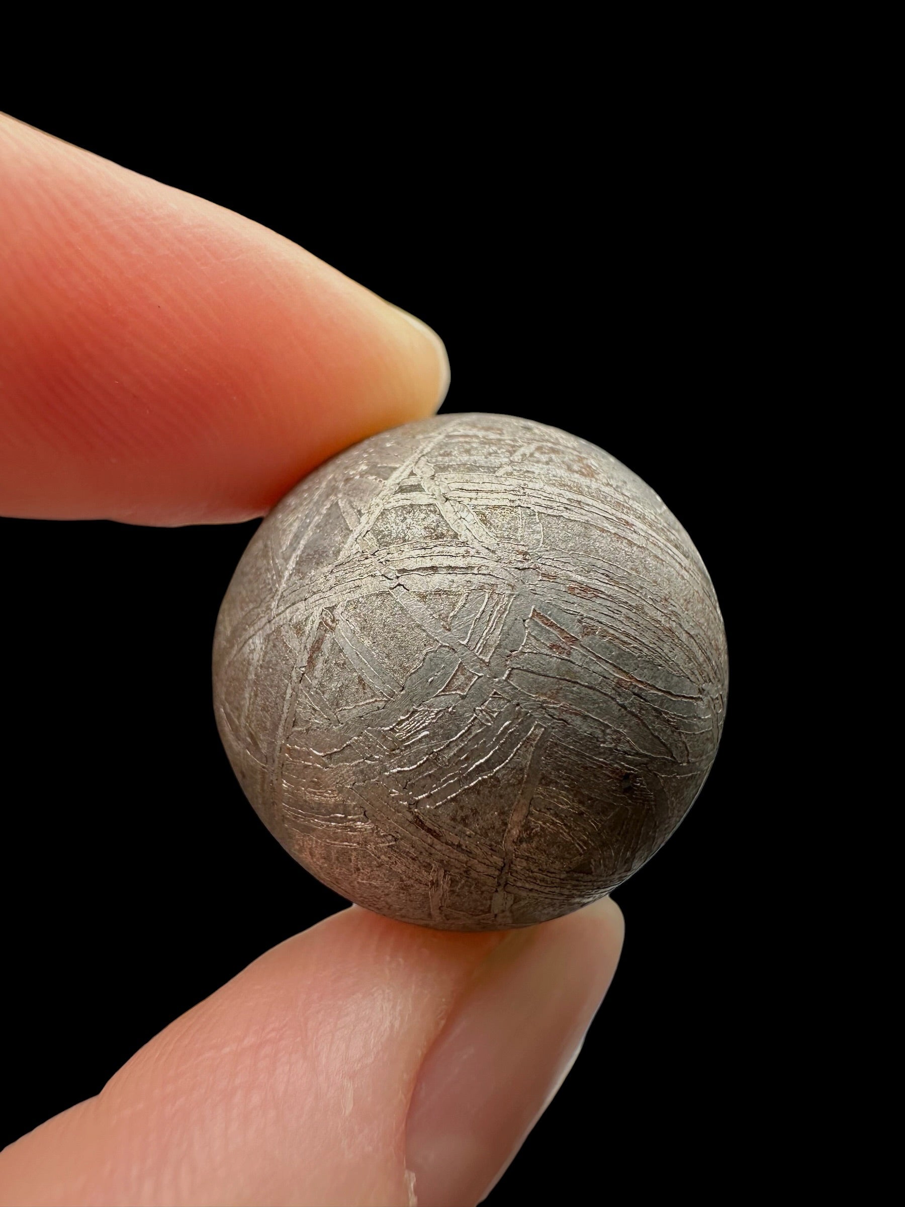 Meteorite Muonionalusta sphere 2cm – Norrbotten, Sweden - MEMO162
